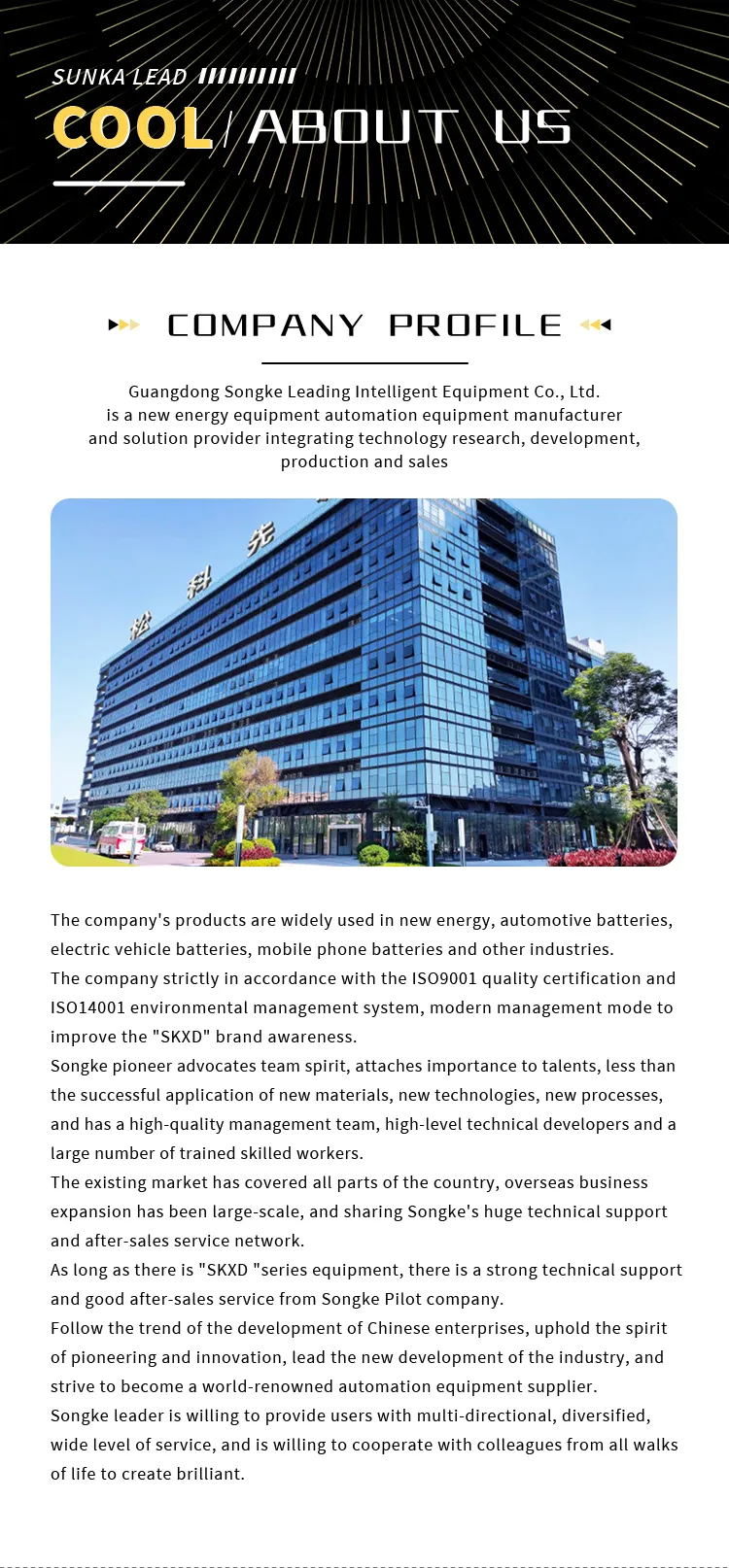 Non-standard customized prismatic battery cell module PACK production line The 7th one