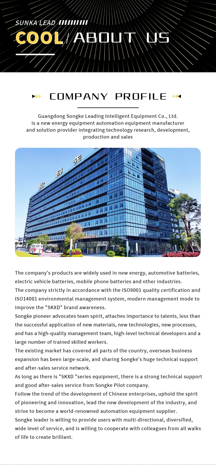 Non-standard Custom Prismatic Lithium Battery Module Pack Production Line The 6th one